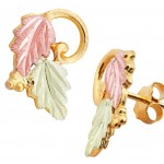 Earrings - by Landstrom's